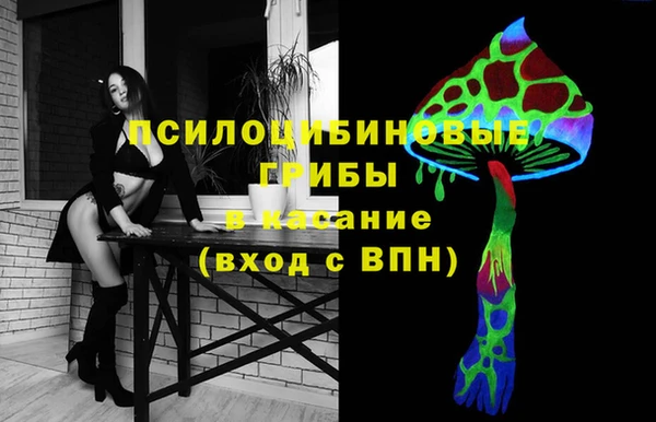 сатива Магадан